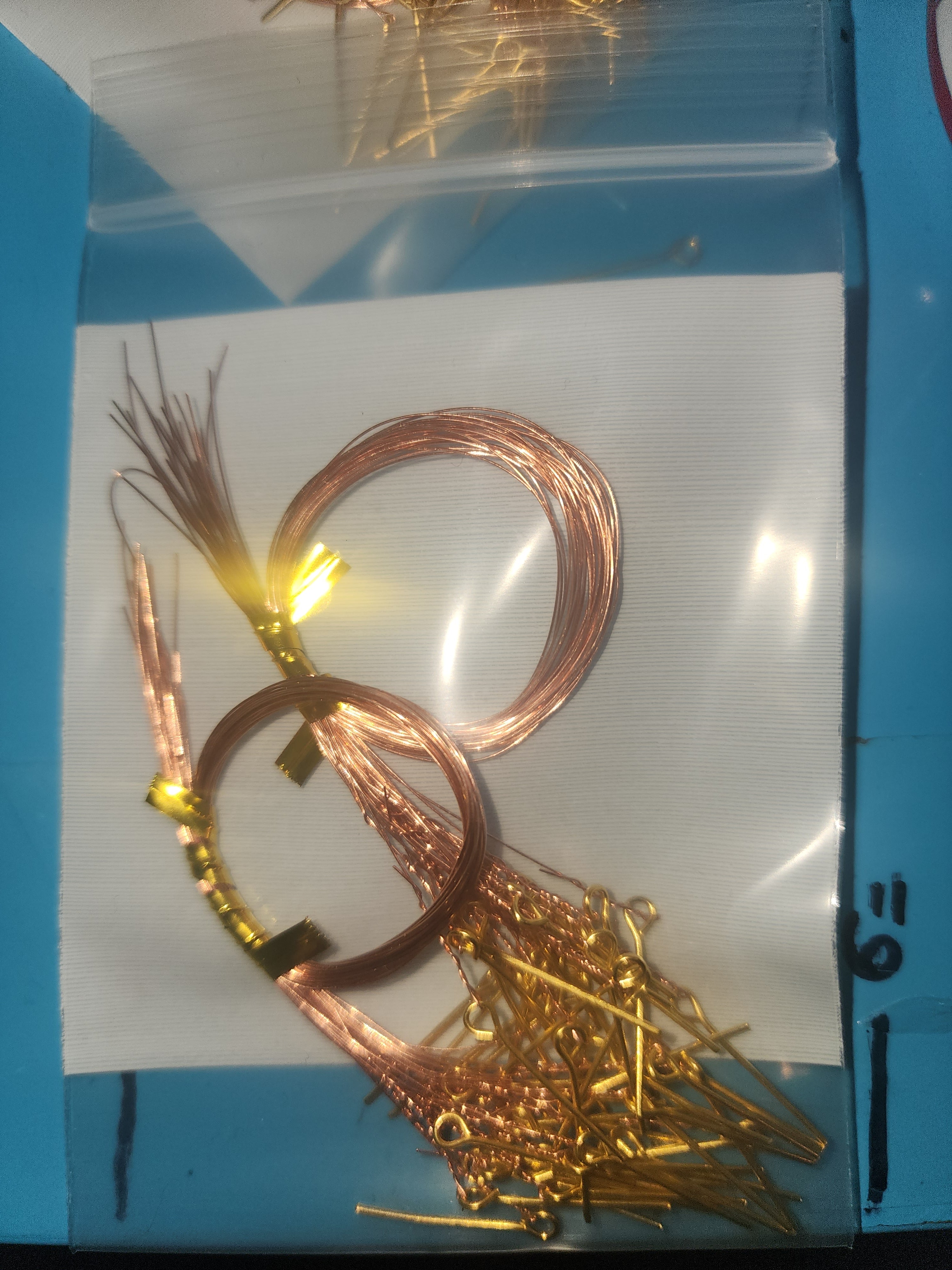Ocean Salmon Bait Pins
